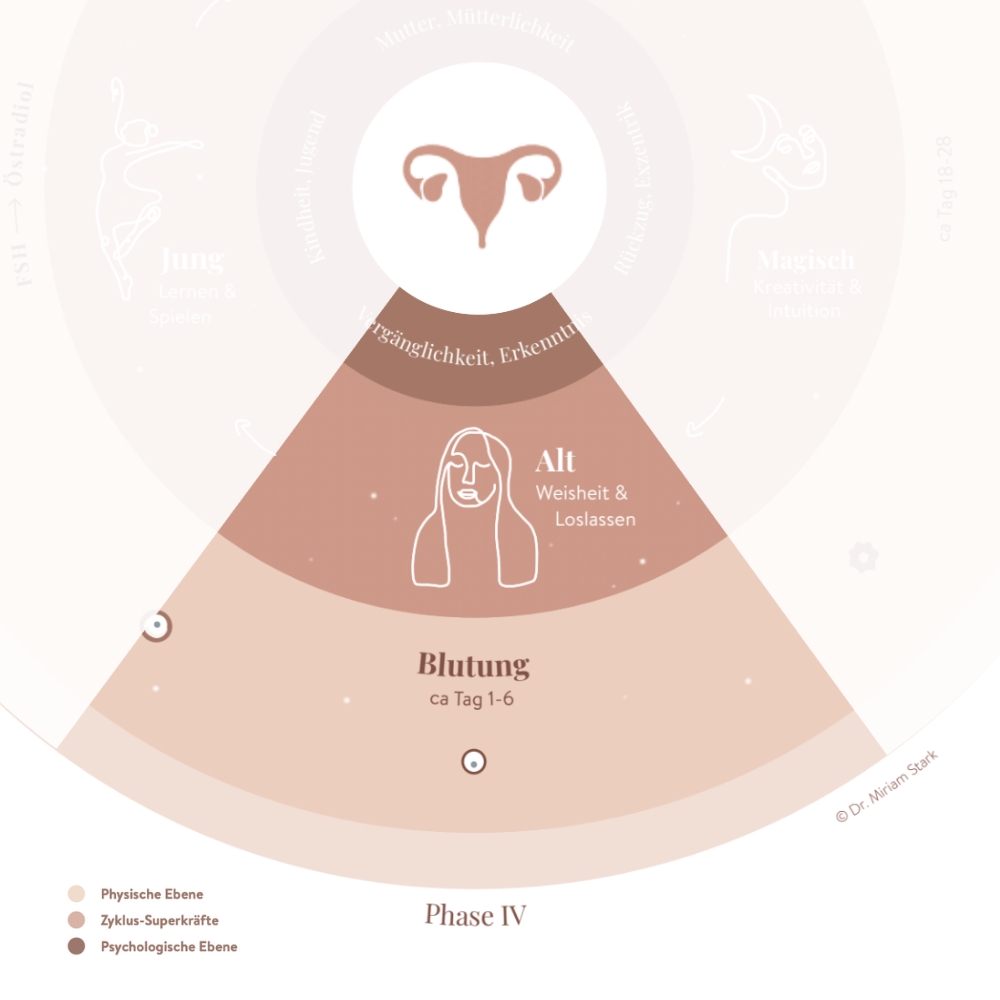 Ausschnitt der Zyklusphase 4 Blutung aus der Zyklusgrafik von Dr. Miriam Stark, Tacheles Beratung